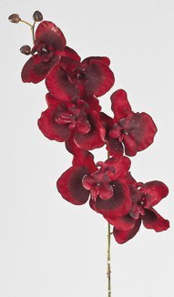 Orchidee 80 cm rot